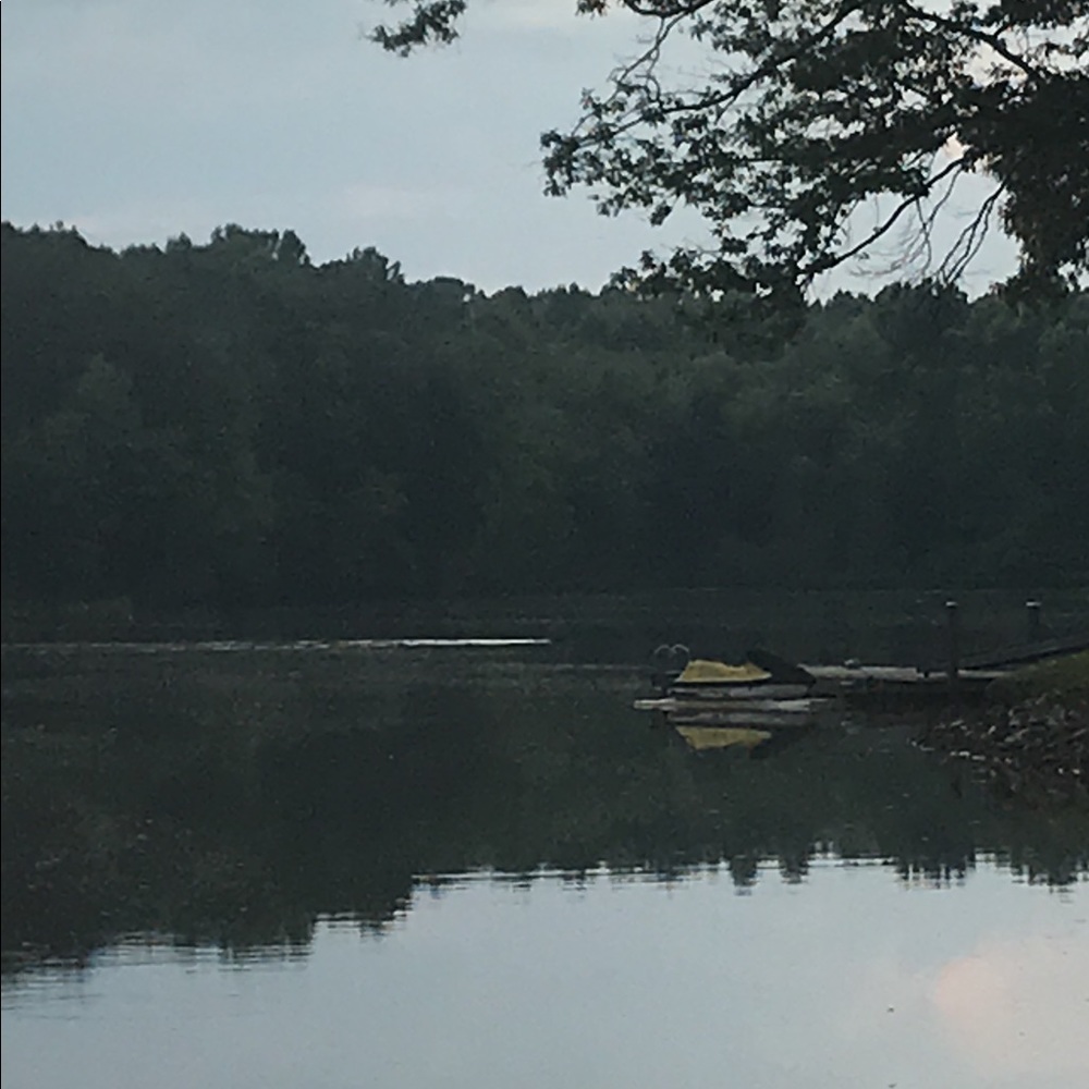 Meet your Posher, Ryder